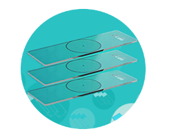 z6com·尊龙(中国)时凯集团