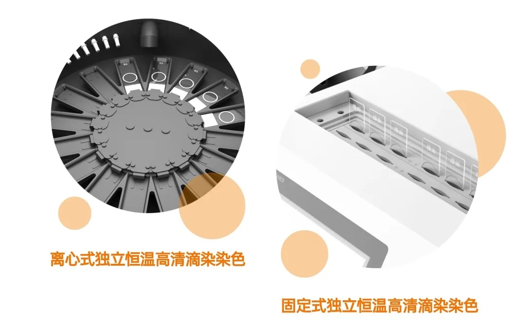 z6com·尊龙(中国)时凯集团