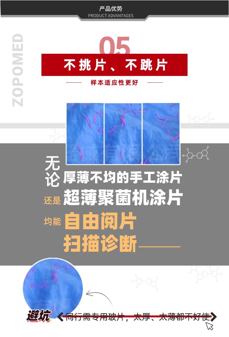 z6com·尊龙(中国)时凯集团